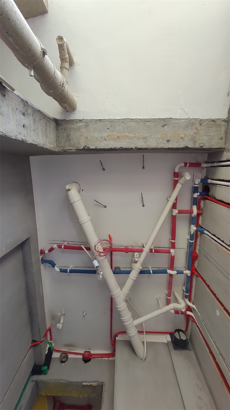 IMG_20210410_124910.jpg