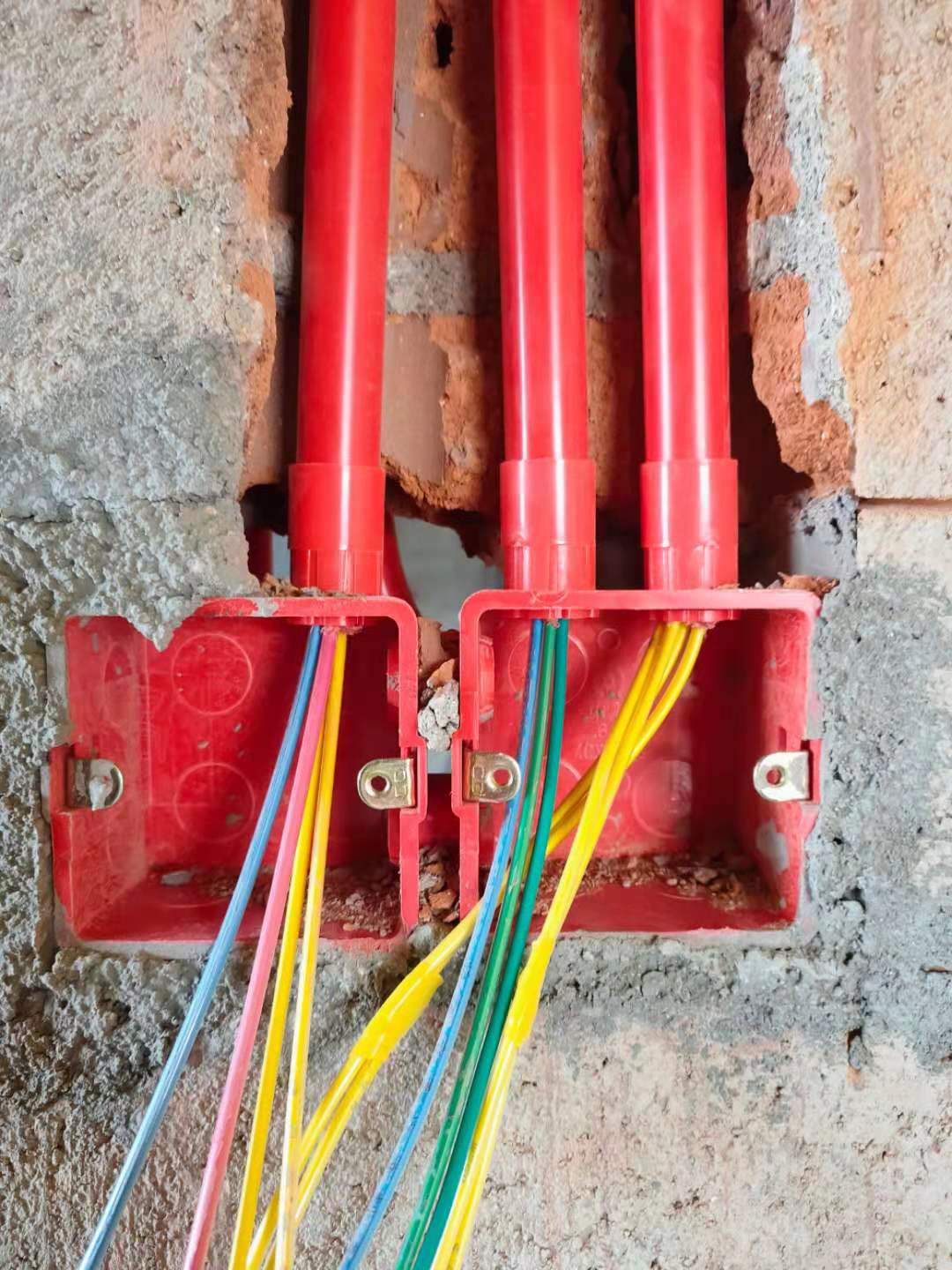 247618170673c01c239ec87573e70b7.jpg