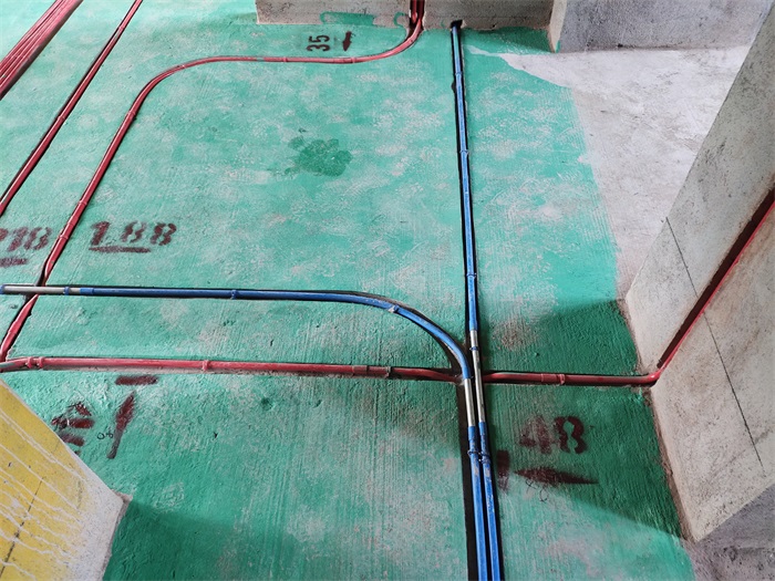 IMG_20210421_104642.jpg