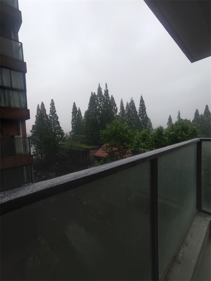 IMG_20210427_173329.jpg