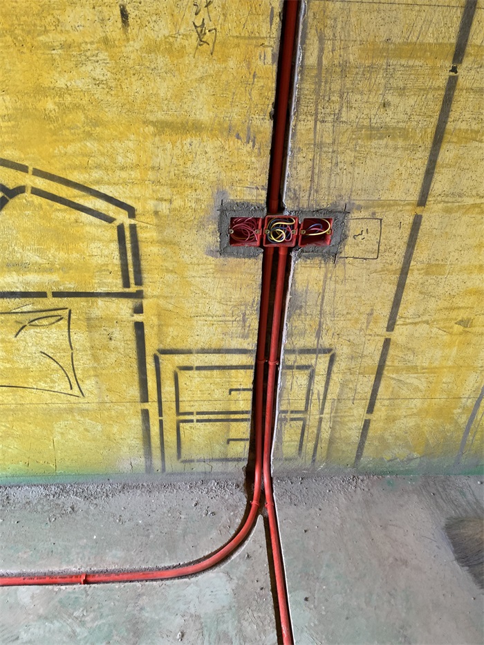 IMG_2986.JPG