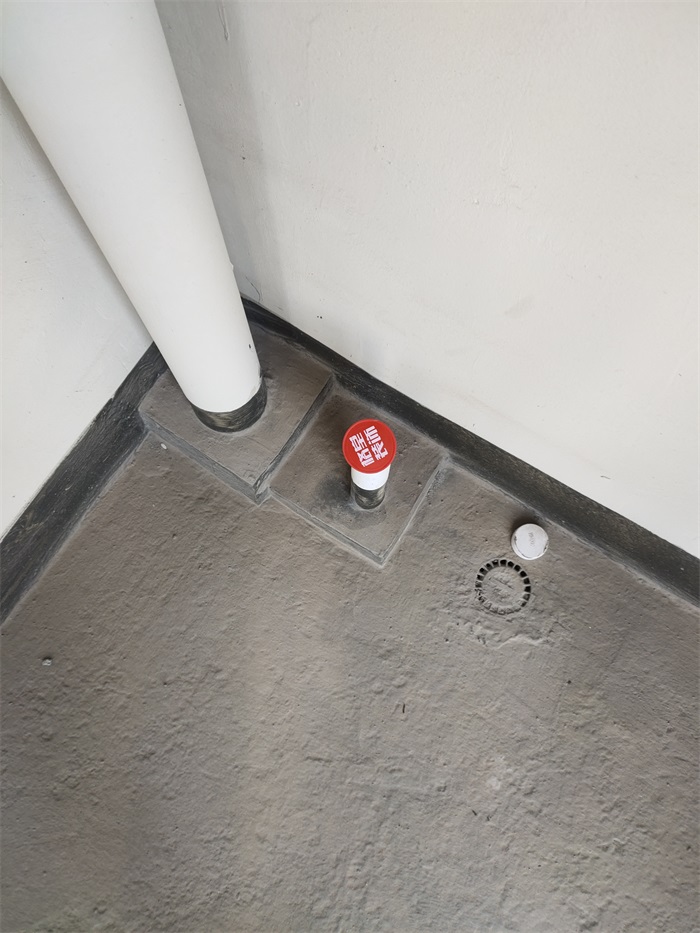 IMG_20210509_084851.jpg