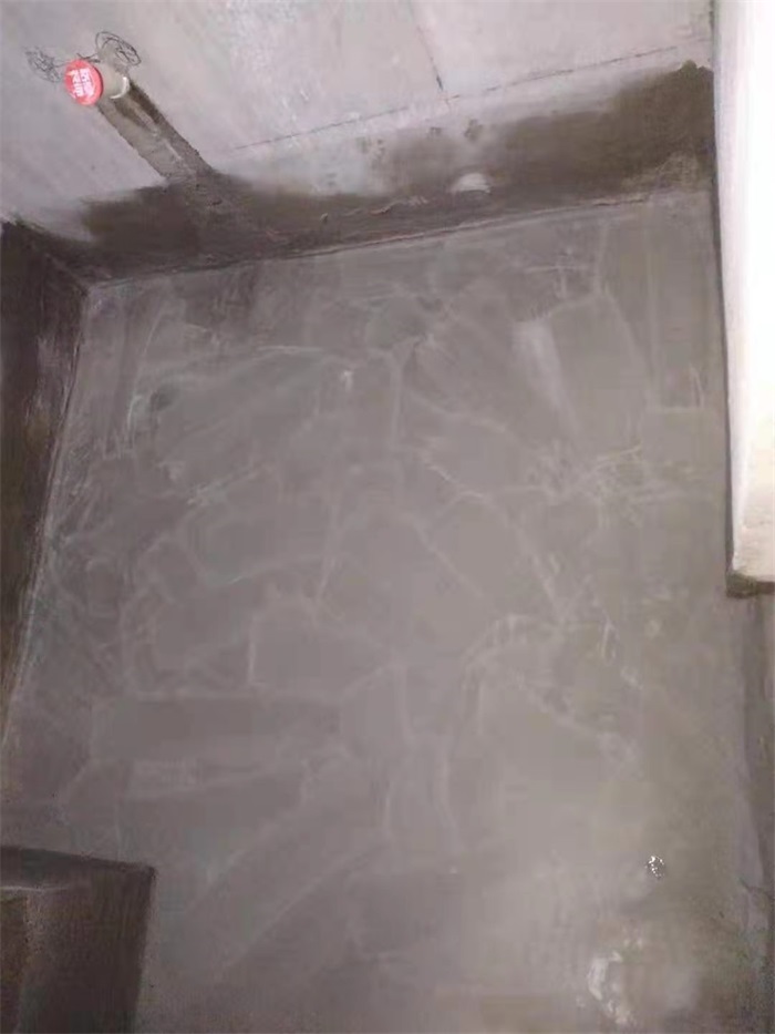 mmexport1620794906454.jpg