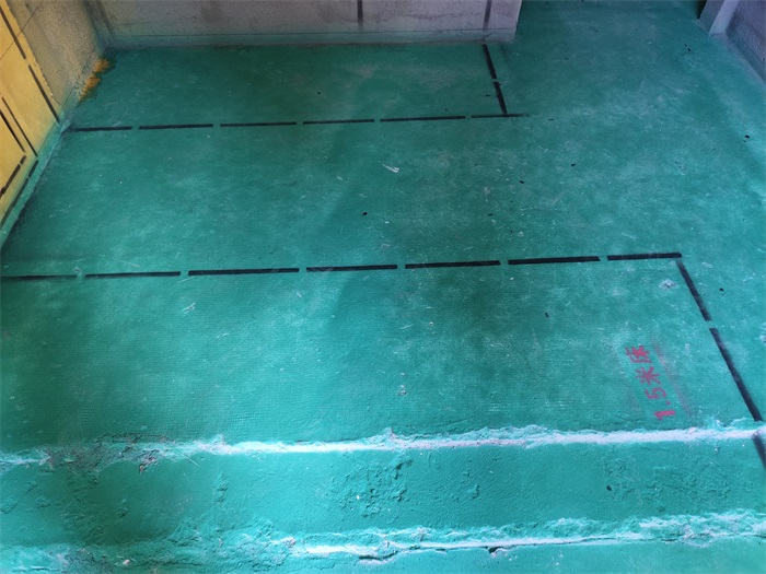 IMG_20210515_152200.jpg