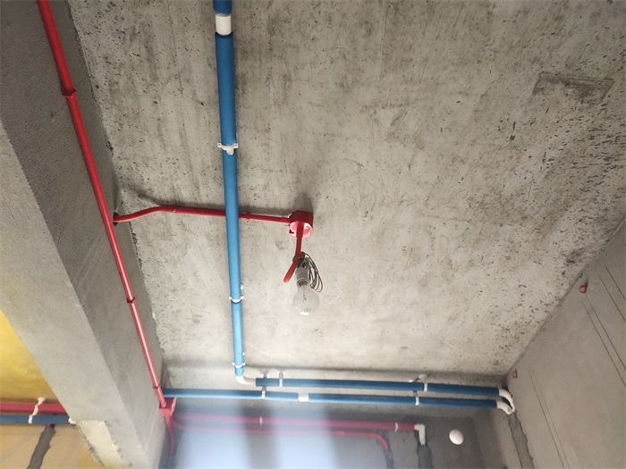 IMG_20210520_135209.jpg