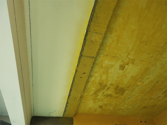 IMG_20210524_091710.jpg