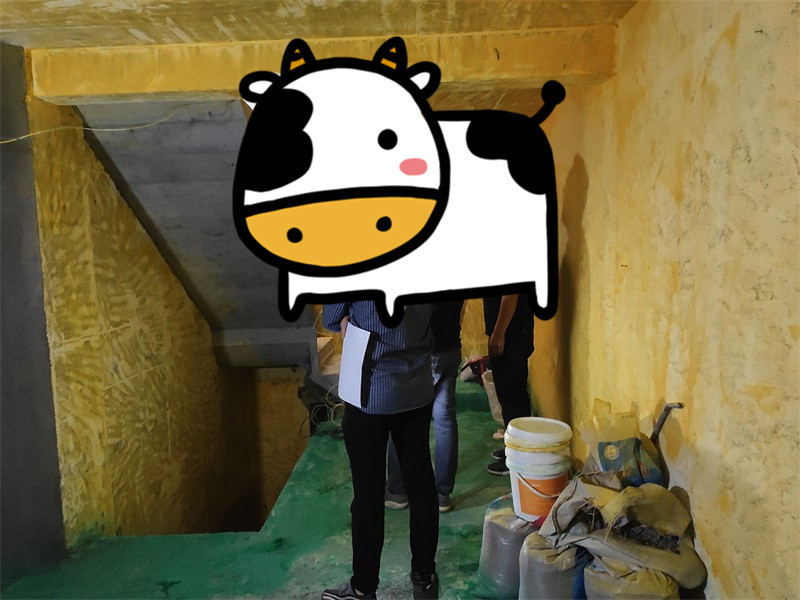IMG_20210509_094649.jpg