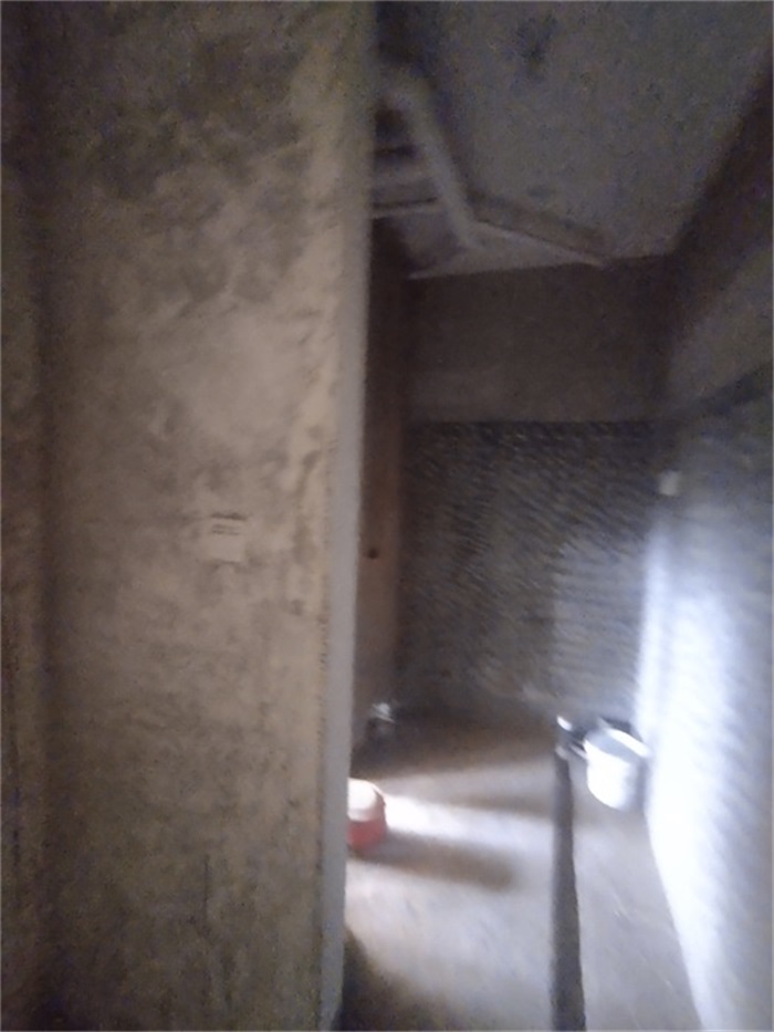 IMG_20210523_101607.jpg