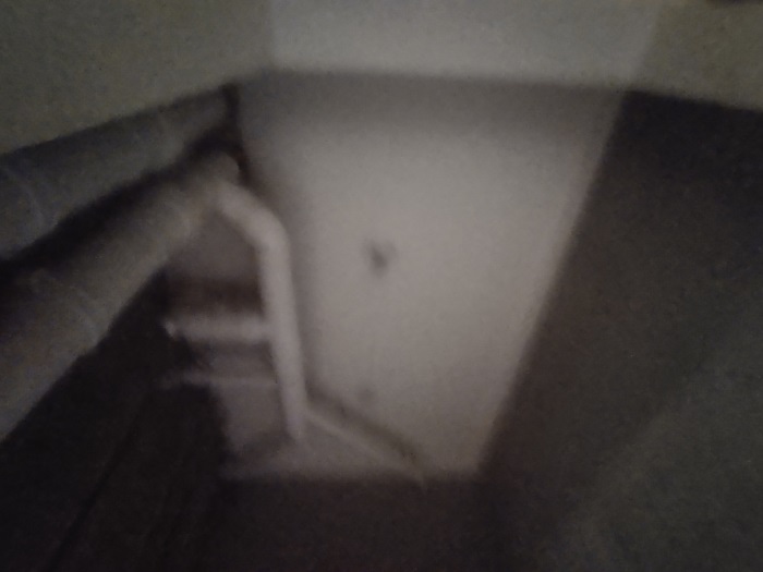 IMG_20210523_101611.jpg