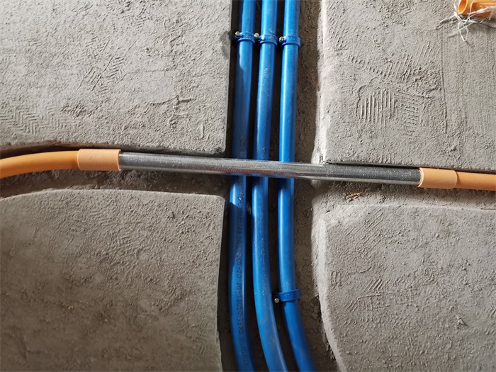IMG_20210604_110548.jpg