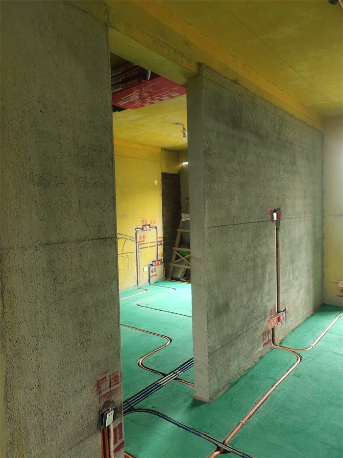 IMG_20210613_160242.jpg