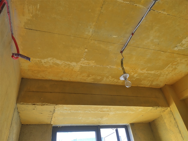 IMG_20210513_104818.jpg