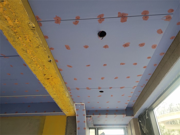 IMG_20210603_081530.jpg