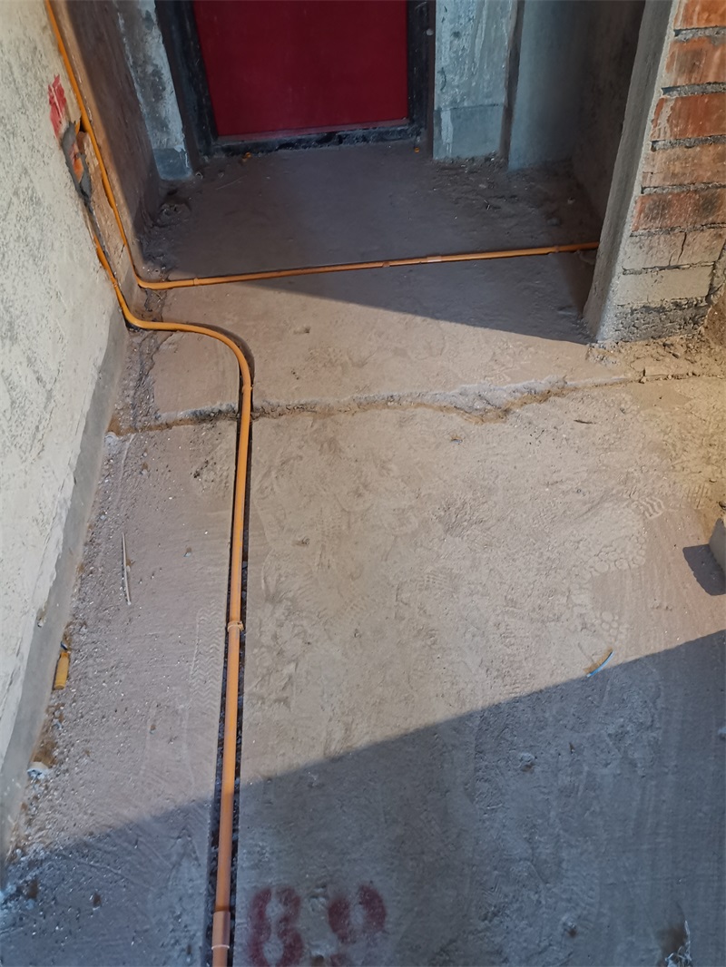 IMG_20210625_165052.jpg