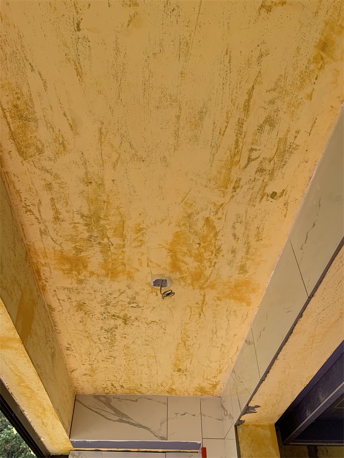 IMG_3753.JPG