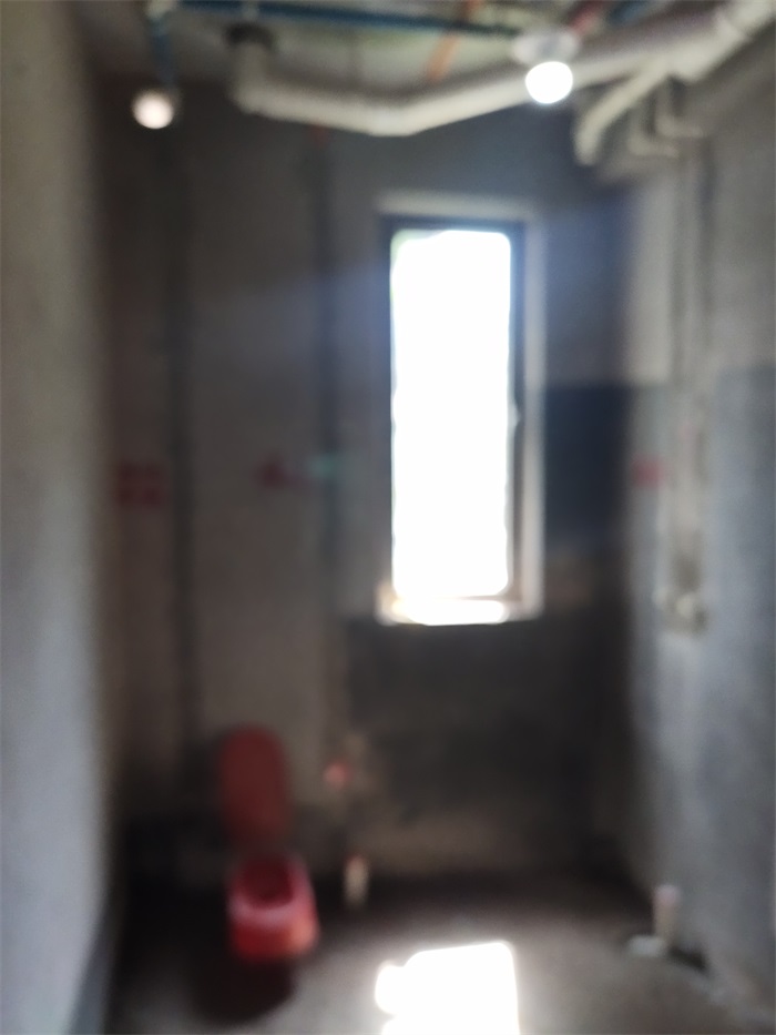 IMG_20210708_101627.jpg