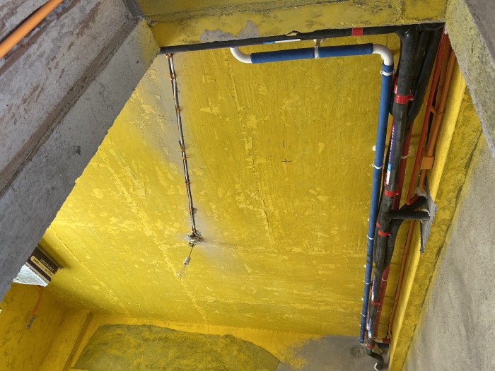 IMG_6345.JPG
