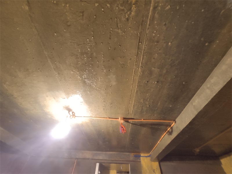 IMG_20210604_154110.jpg
