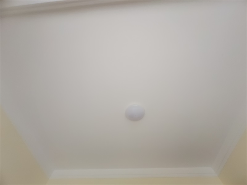 IMG_20210604_154557.jpg