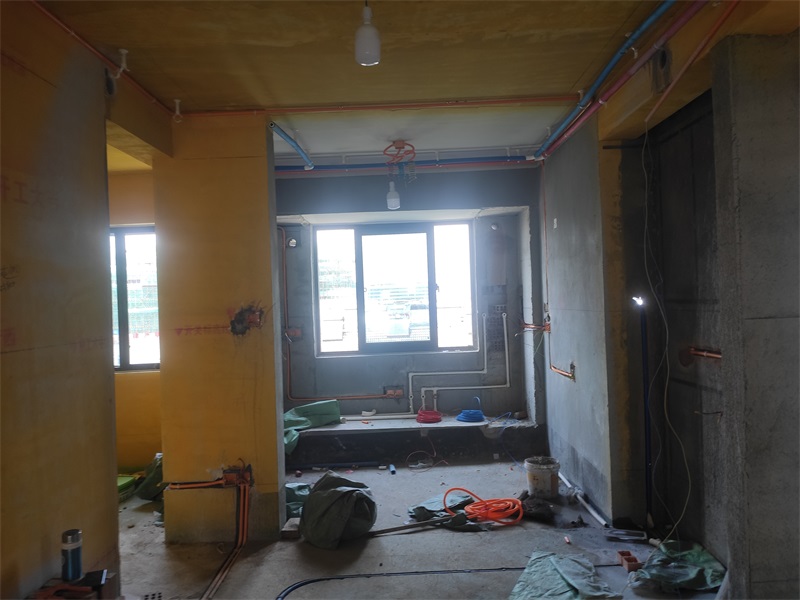 IMG_20210612_133543.jpg