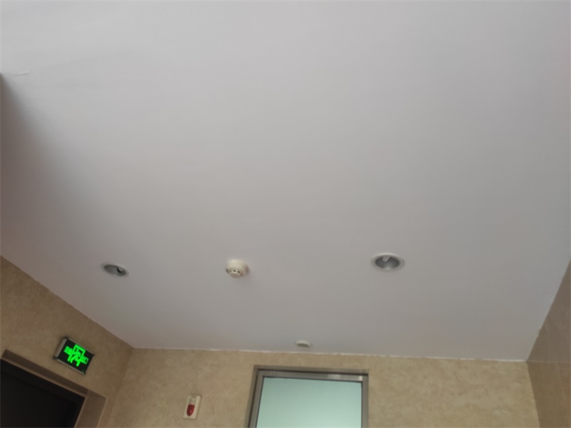 IMG_20210617_144601.jpg