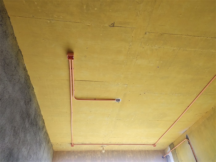 IMG_20210703_171606.jpg
