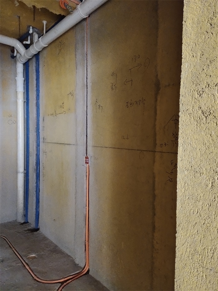 IMG_20210726_164850.jpg