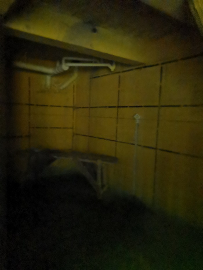 IMG_20210727_150510.jpg