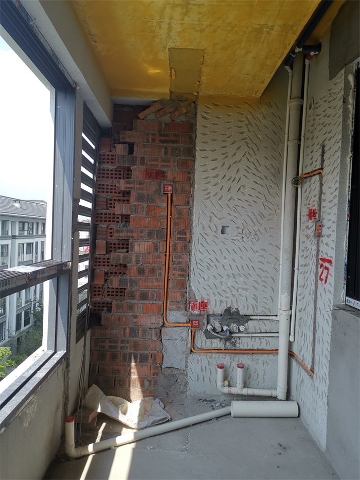 IMG_20210728_094110.jpg