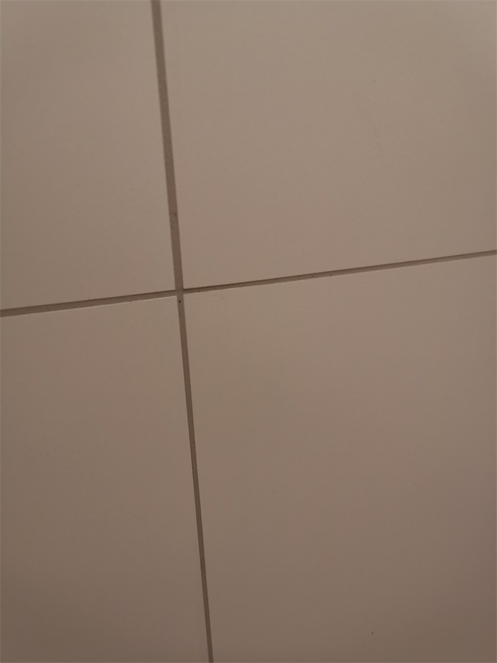 IMG_20210803_100304.jpg
