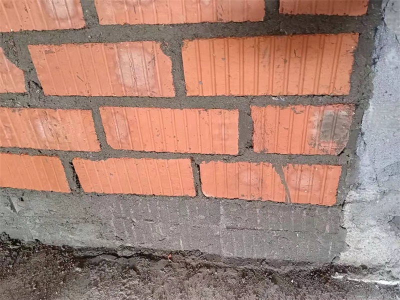 mmexport1627527382179.jpg