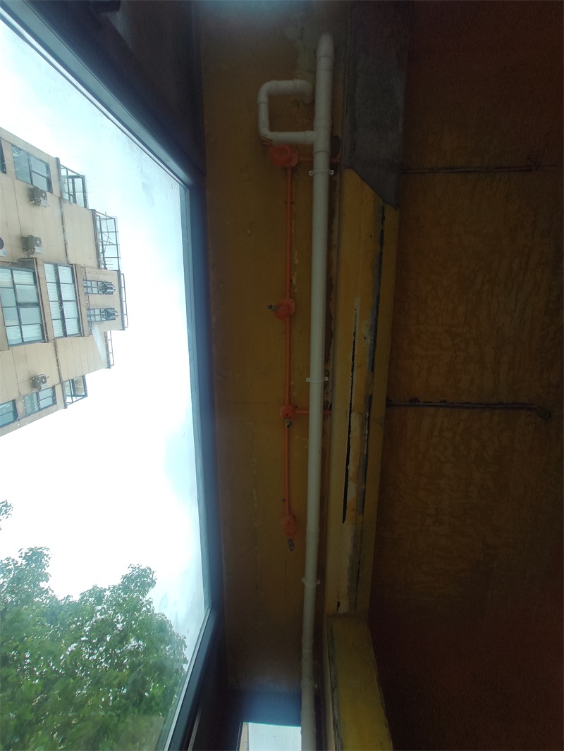IMG_20210726_141644.jpg