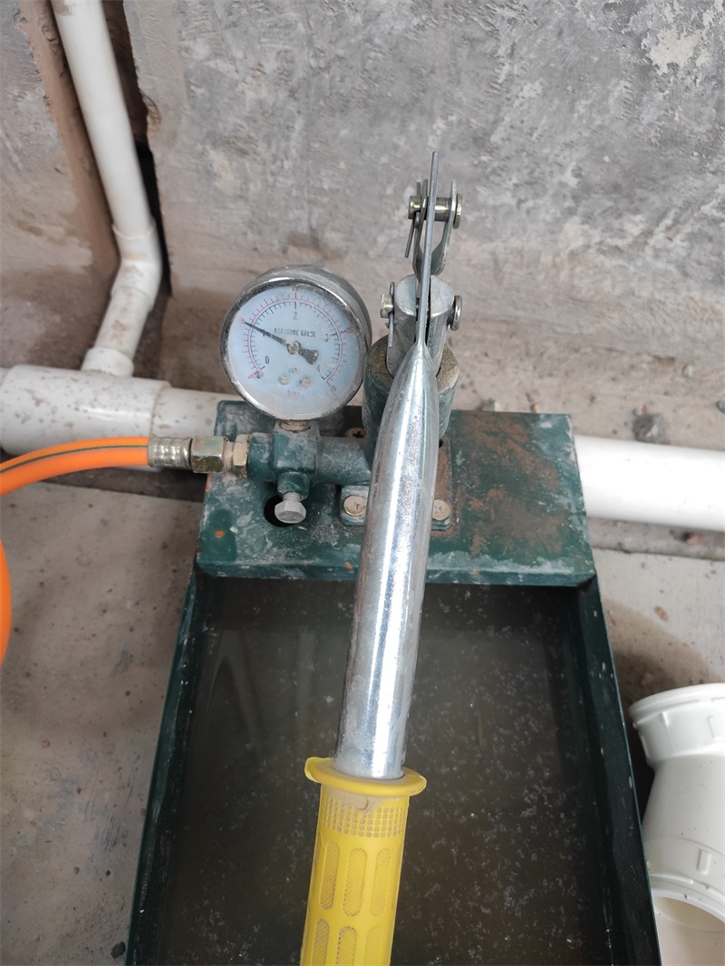 IMG_20210726_144653.jpg
