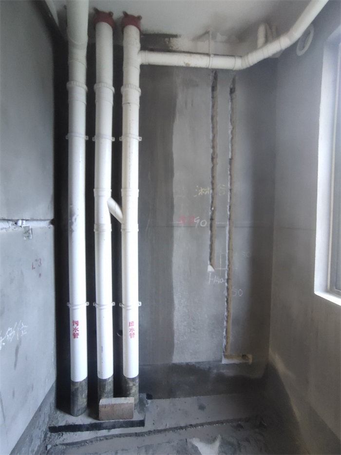 IMG_20210816_131110.jpg