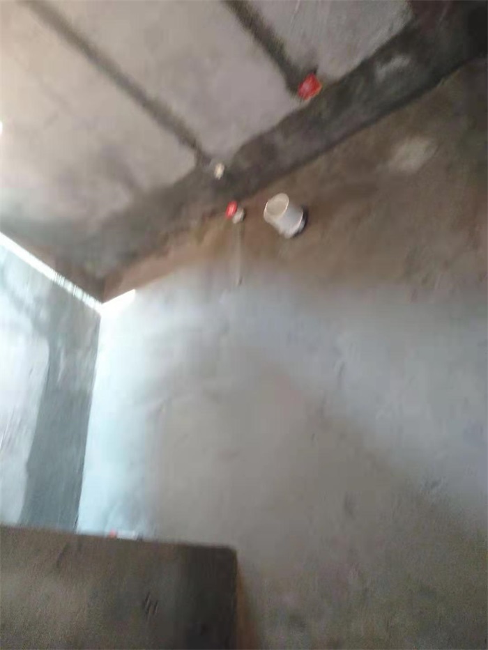 mmexport1626741266555.jpg