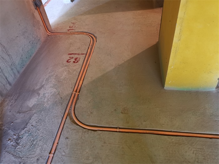 IMG_20210827_134619.jpg