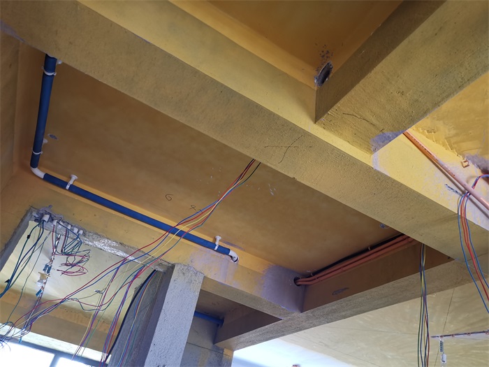 IMG_20210901_093741.jpg