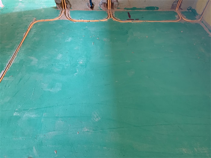 IMG_4779.JPG