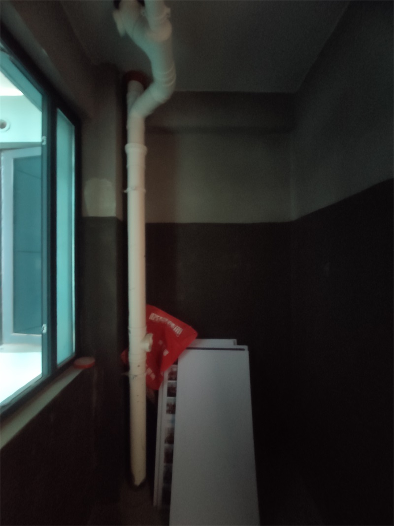IMG_20210919_100230.jpg