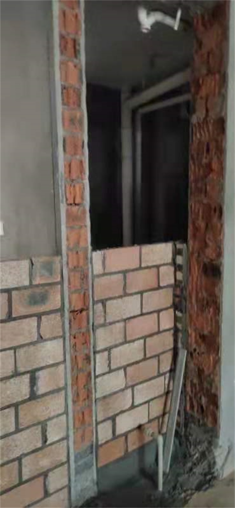 mmexport1628299983177.jpg