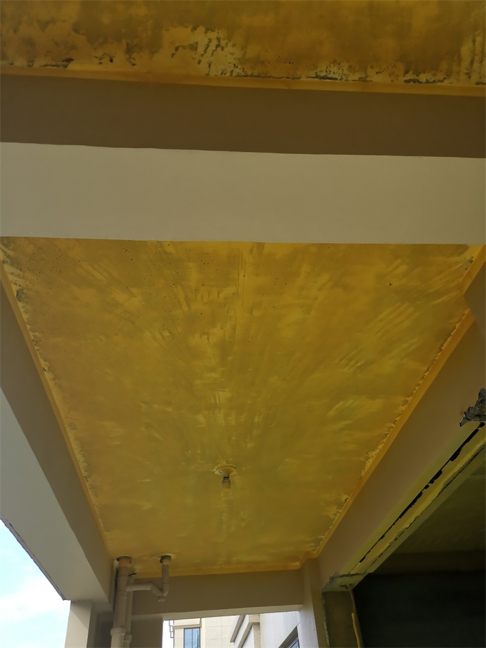IMG_20211007_091045.jpg