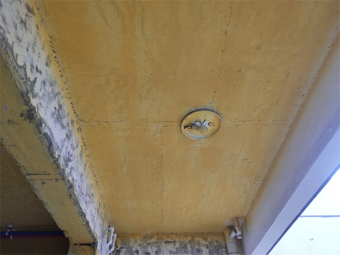 IMG_20210816_084645.jpg