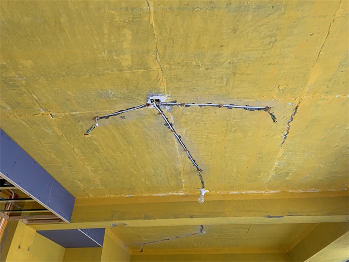 IMG_8623.JPG