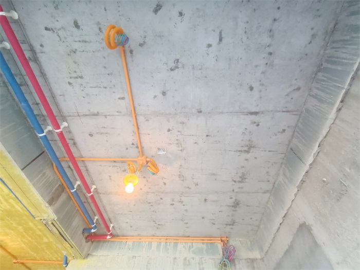 IMG_20211009_102304.jpg