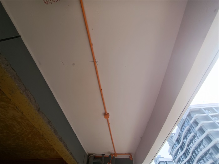 IMG_20211009_102412.jpg