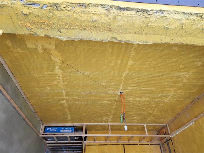 IMG_20210909_160026.jpg