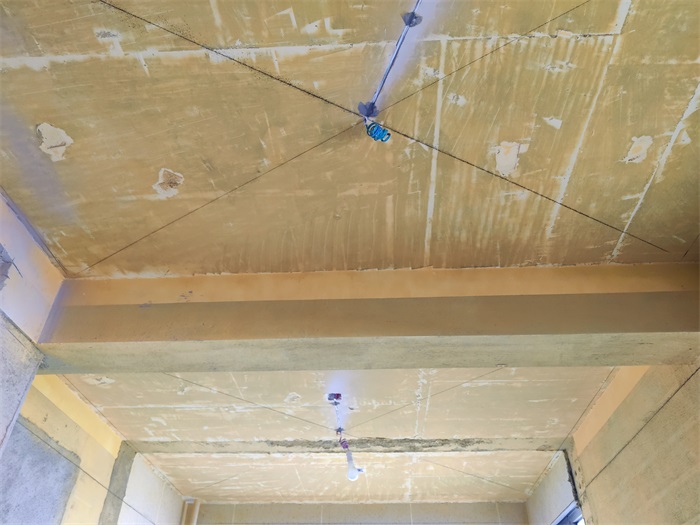 IMG_20211030_145334.jpg