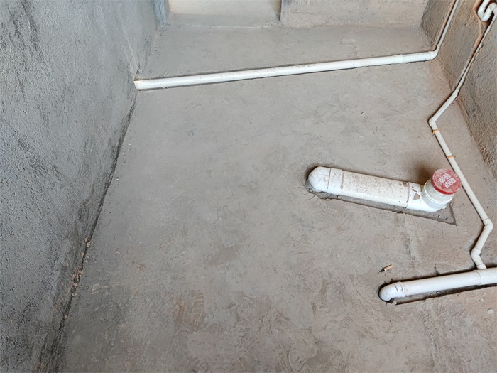 IMG_20211030_145432.jpg
