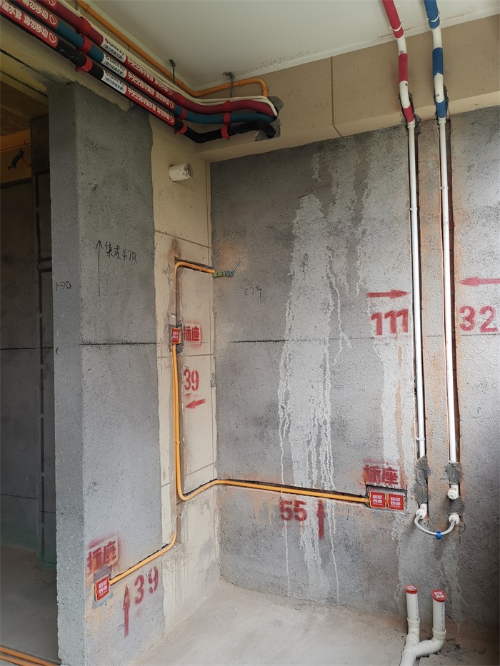 IMG_20211028_121342.jpg