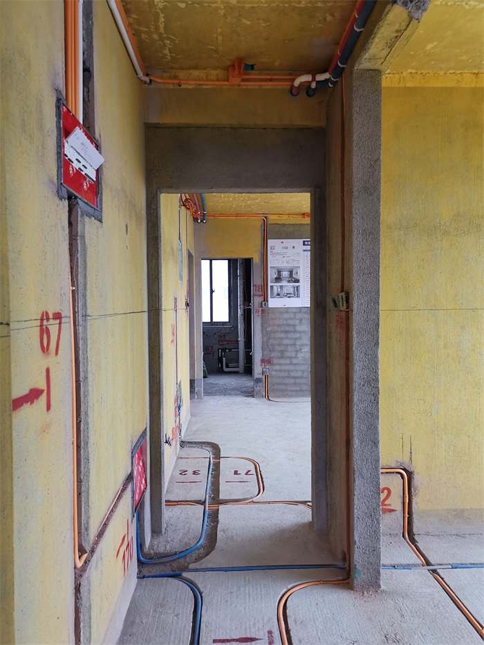 IMG_20211104_135855.jpg